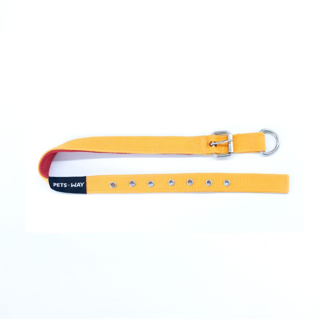 Butterscotch Every Day Dog Collar & Leash Set