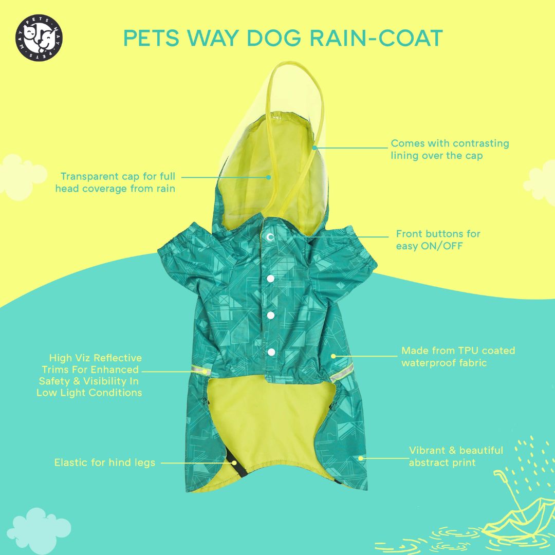 Haze Dog Raincoat-Teal