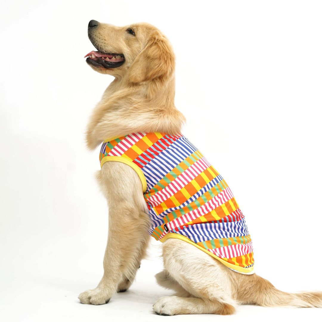 Retro Fun Dog Vest Combo - Pack of 2