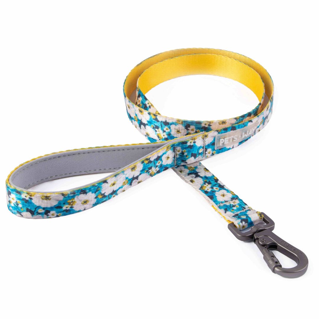 Blossom Dog Collar Leash Set