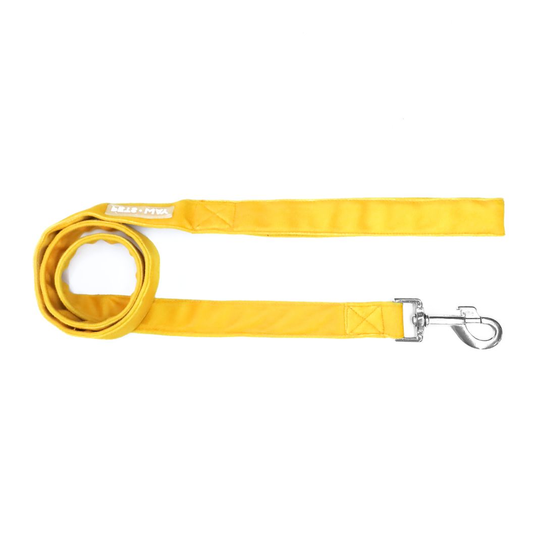 Amber Luxury Velvet Collar & Leash with Bow Tie