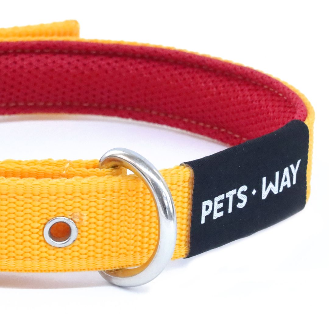 Butterscotch Every Day Dog Collar & Leash Set