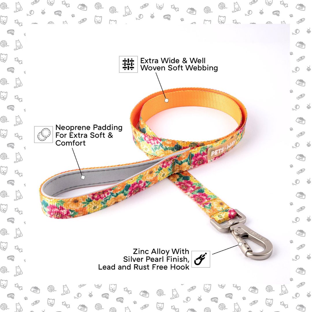 Spring Dog Collar Leash Set