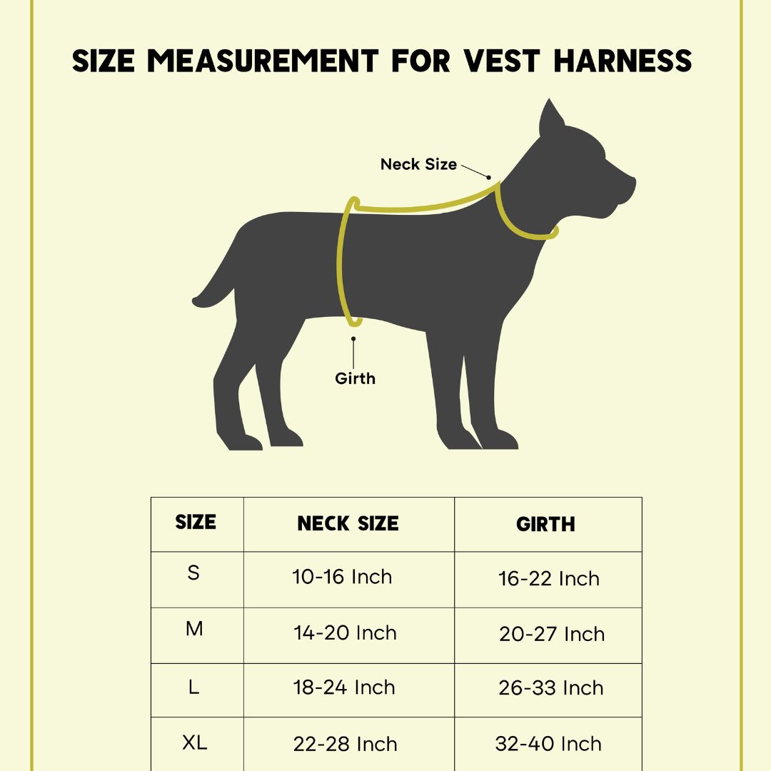 Desert Vest Harness