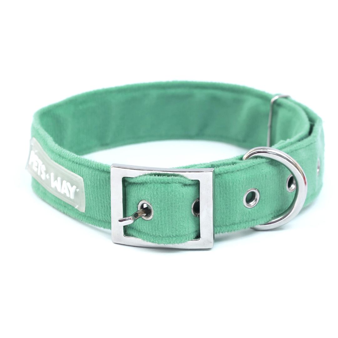 Teal Luxury Velvet Collar & Leash with Bow Tie