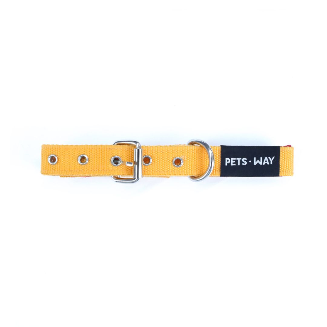 Butterscotch Every Day Dog Collar & Leash Set