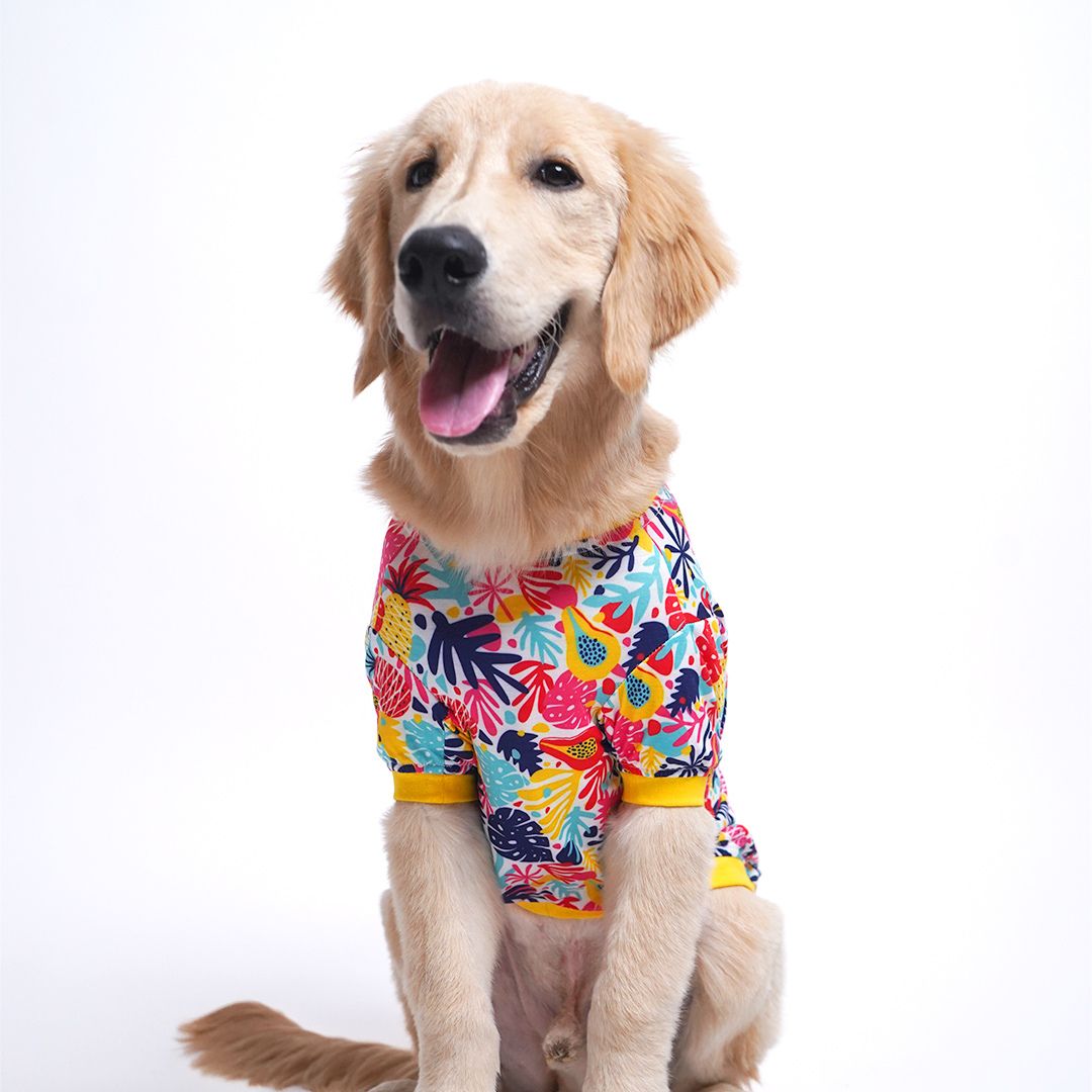 Beach - Printed Dog T Shirt Combo - Pack of 2