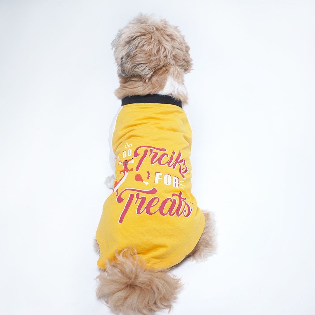 dog wear Amber Dog T-Shirt-petsway