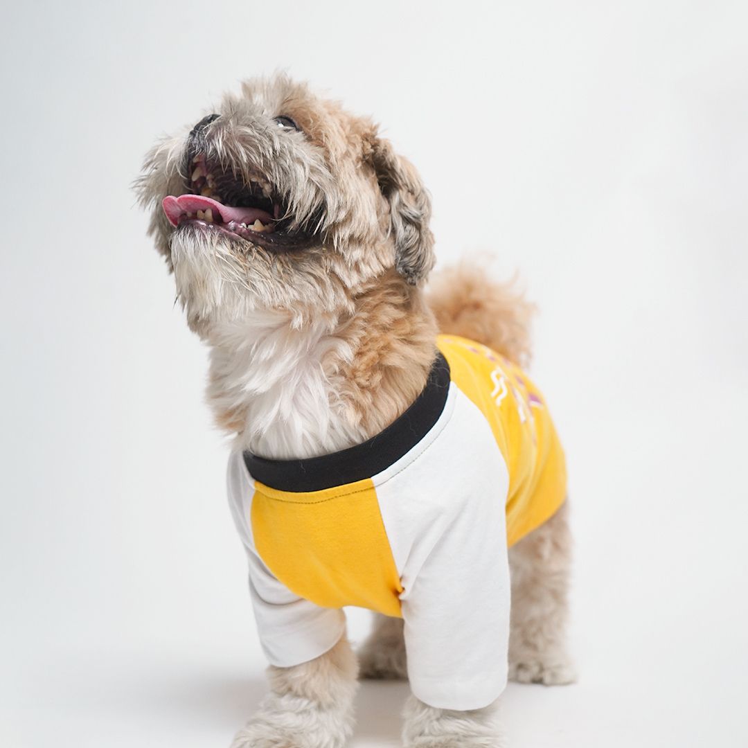 dog wear Amber Dog T-Shirt-petsway