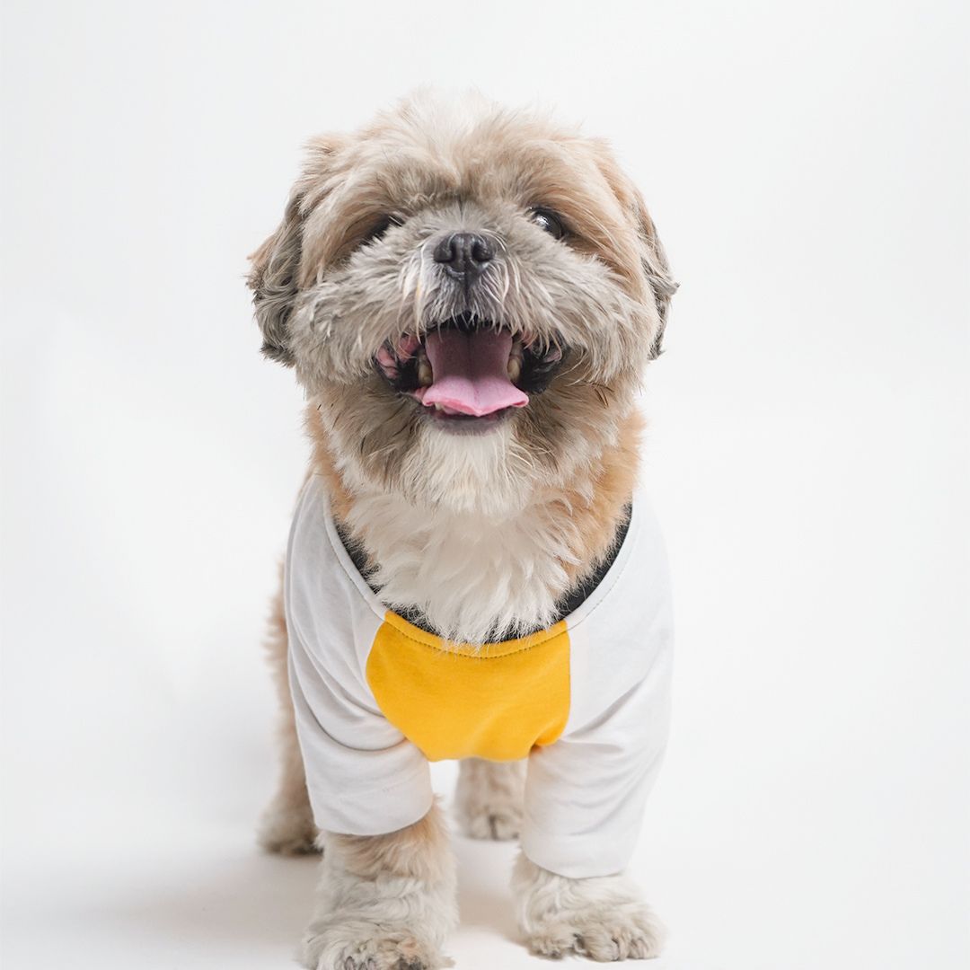 dog show Amber Dog T-Shirt-petsway