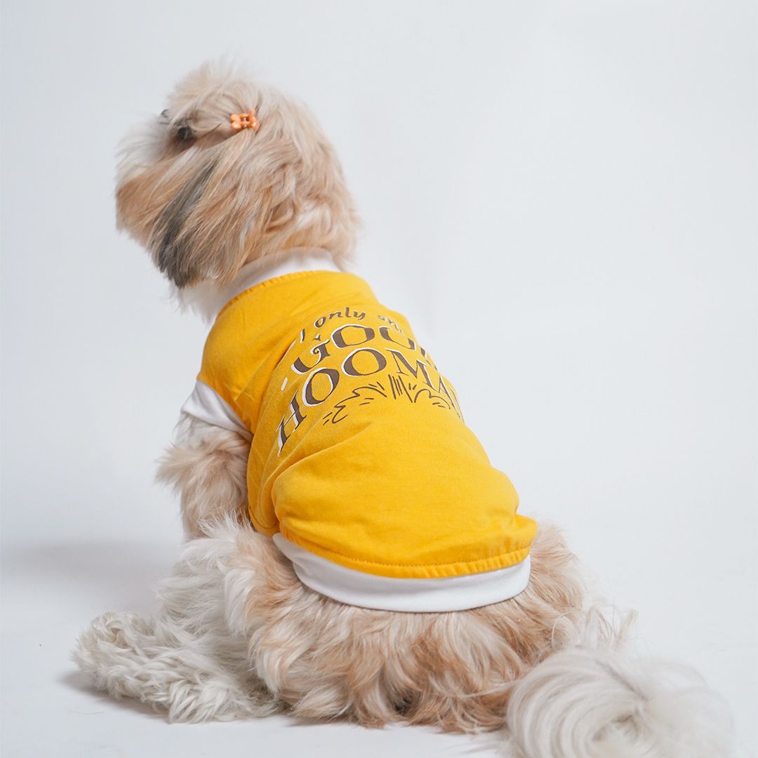 dog wear and show Amber Dog sleeveless T-shirt -petsway