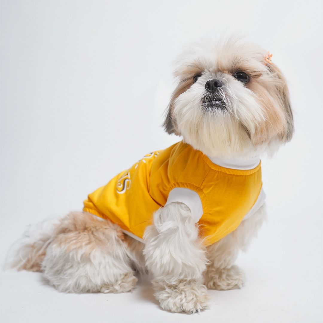 dog wear Amber Dog sleeveless T-shirt-petsway