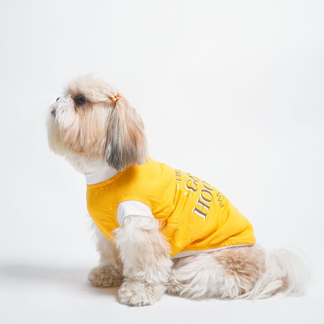 setting dog wear Amber Dog sleeveless T-shirt-petsway