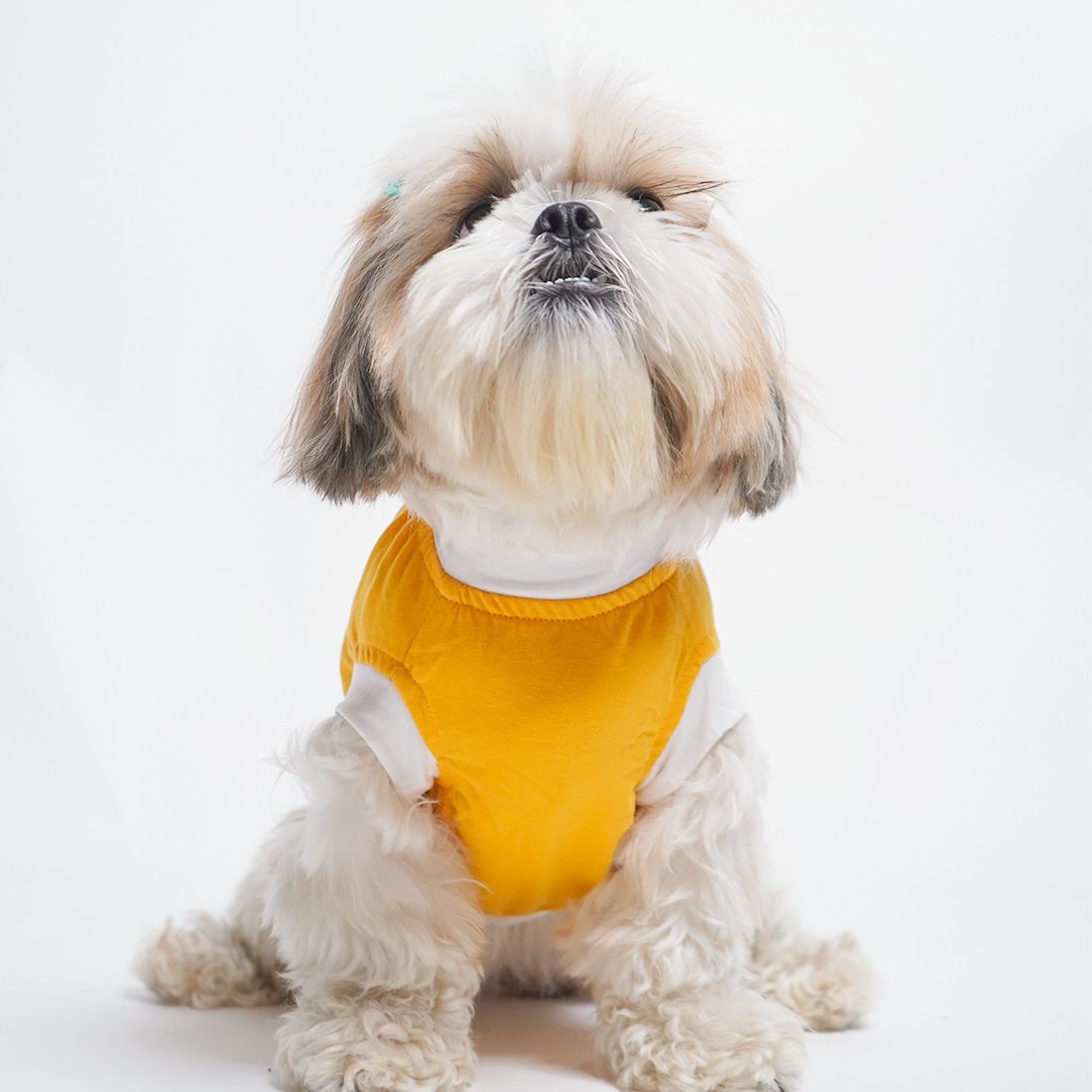 dog wear Amber Dog sleeveless T-shirt-petsway