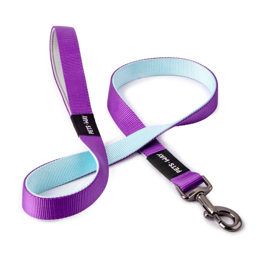 Amethyst & Sky Dual Color Dog Leash-petsway