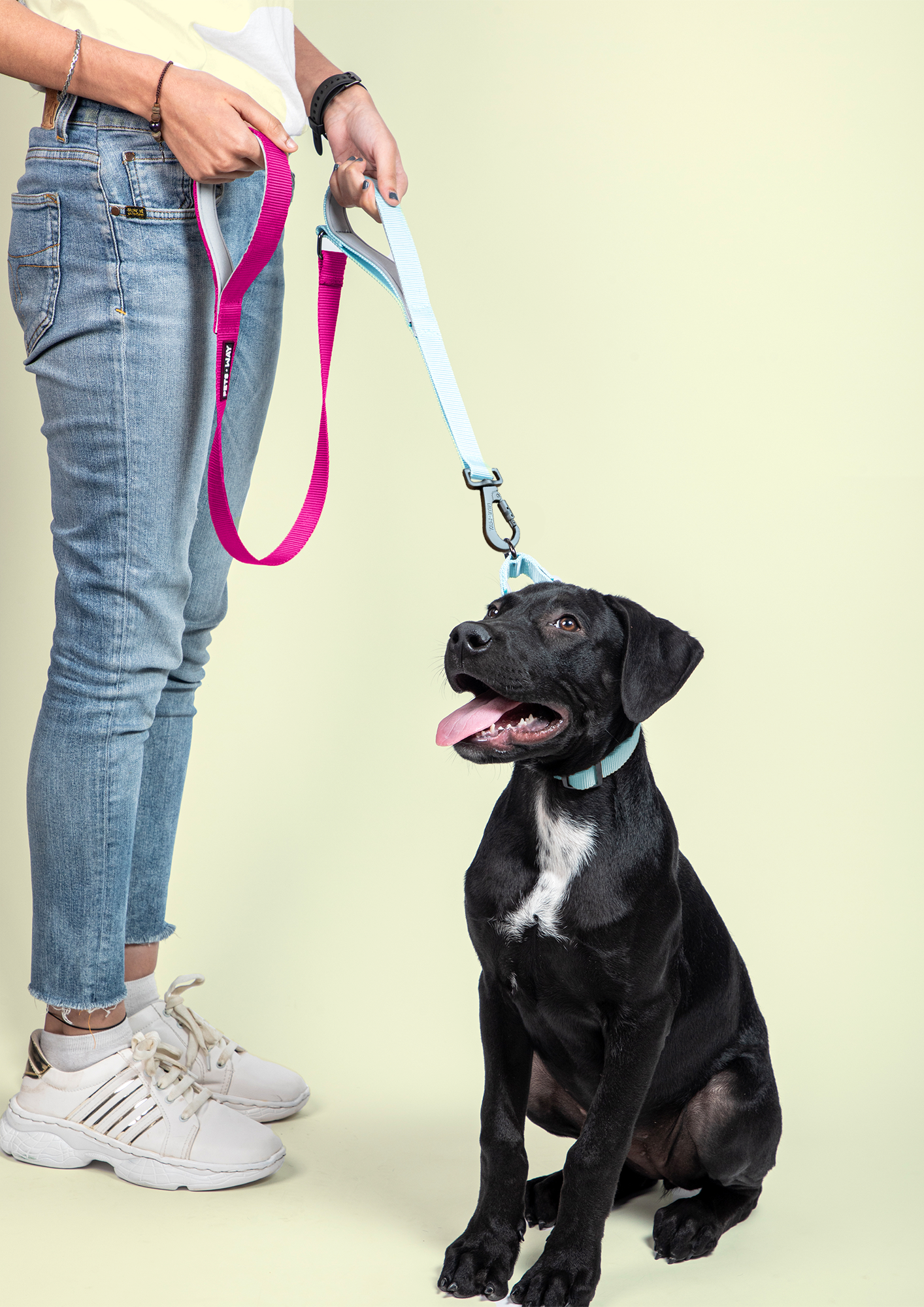 Fuschia & Sky - Traffic / Dual Handle Leash
