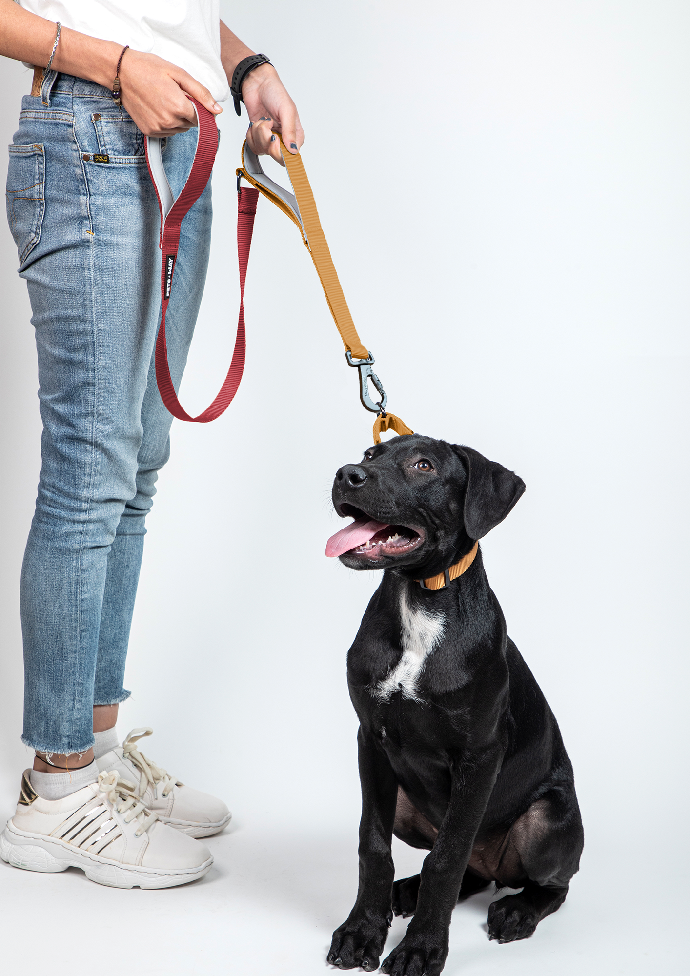 Wine & Honey - Traffic / Dual Handle Leash