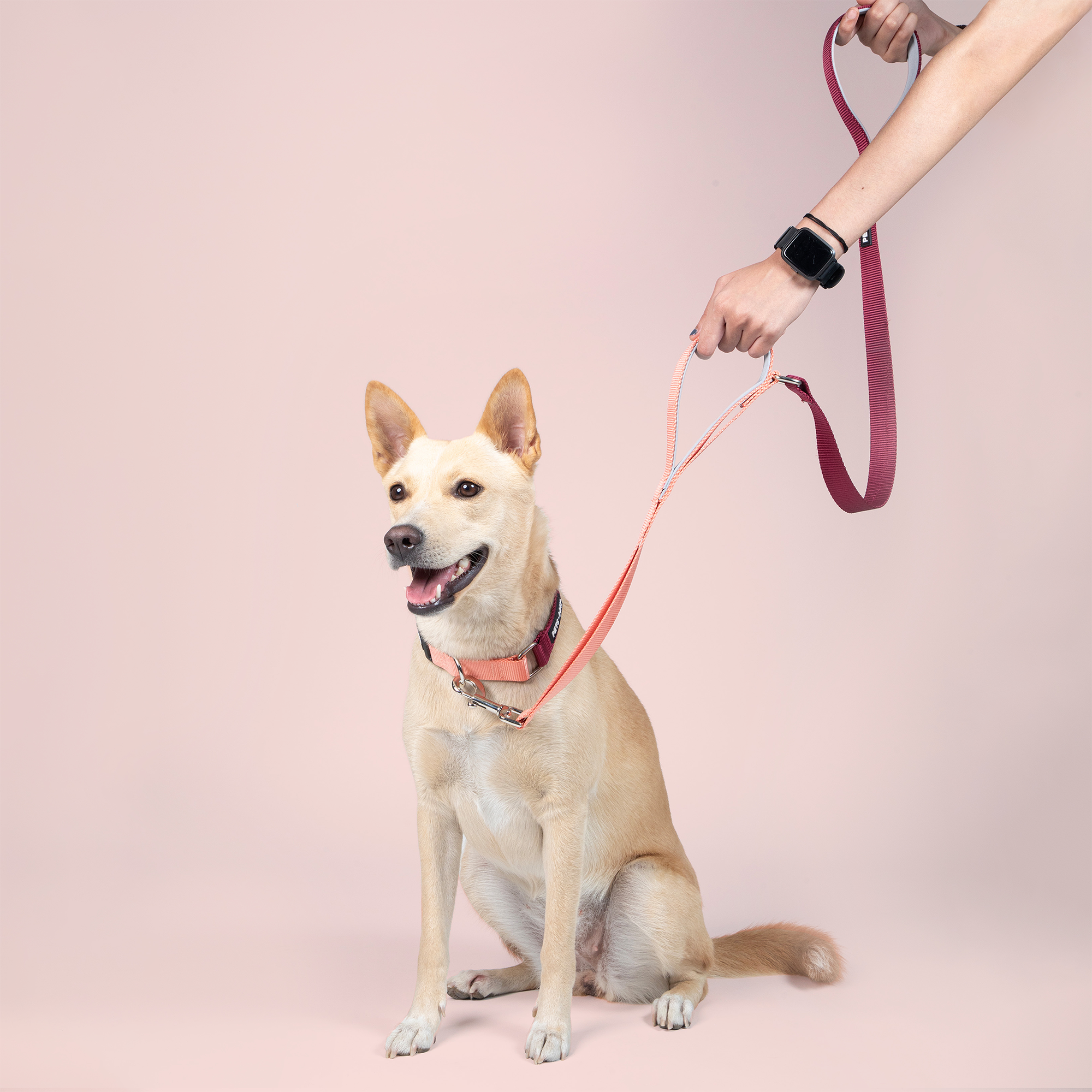 Wine & Peach - Traffic / Dual Handle Leash