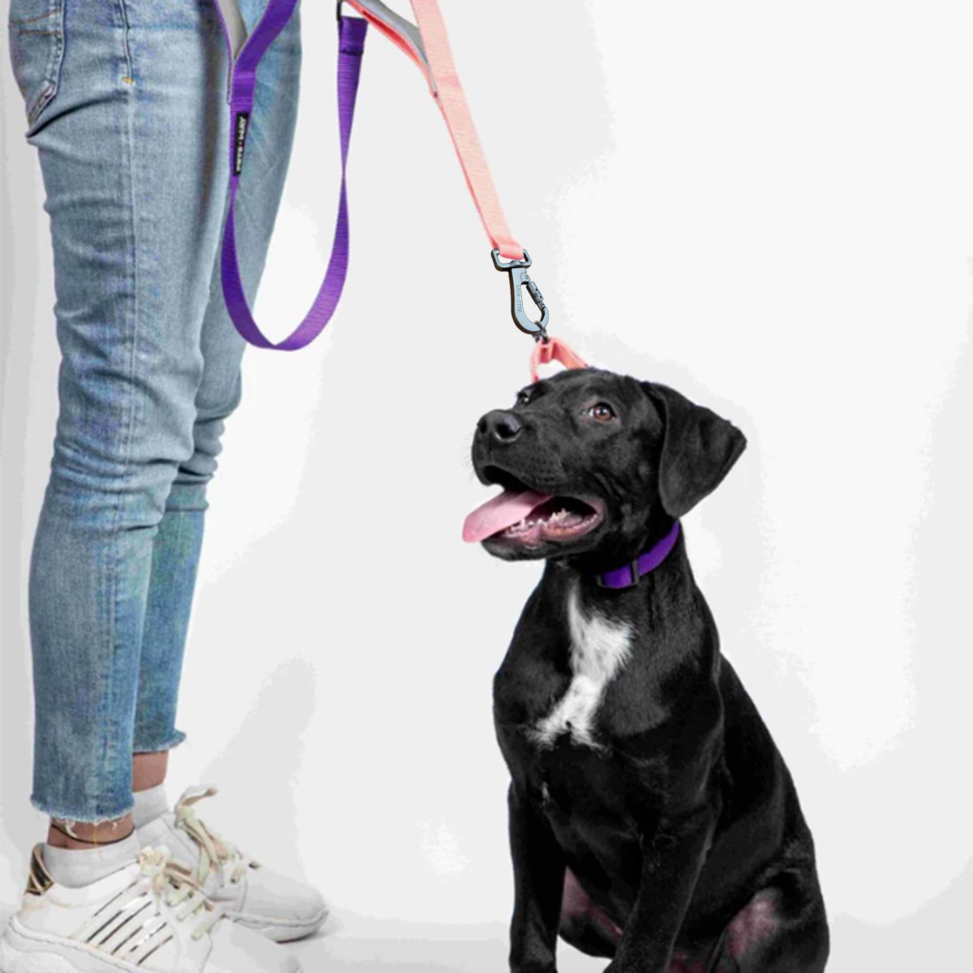 Peach & Amethyst - Traffic / Dual Handle Leash