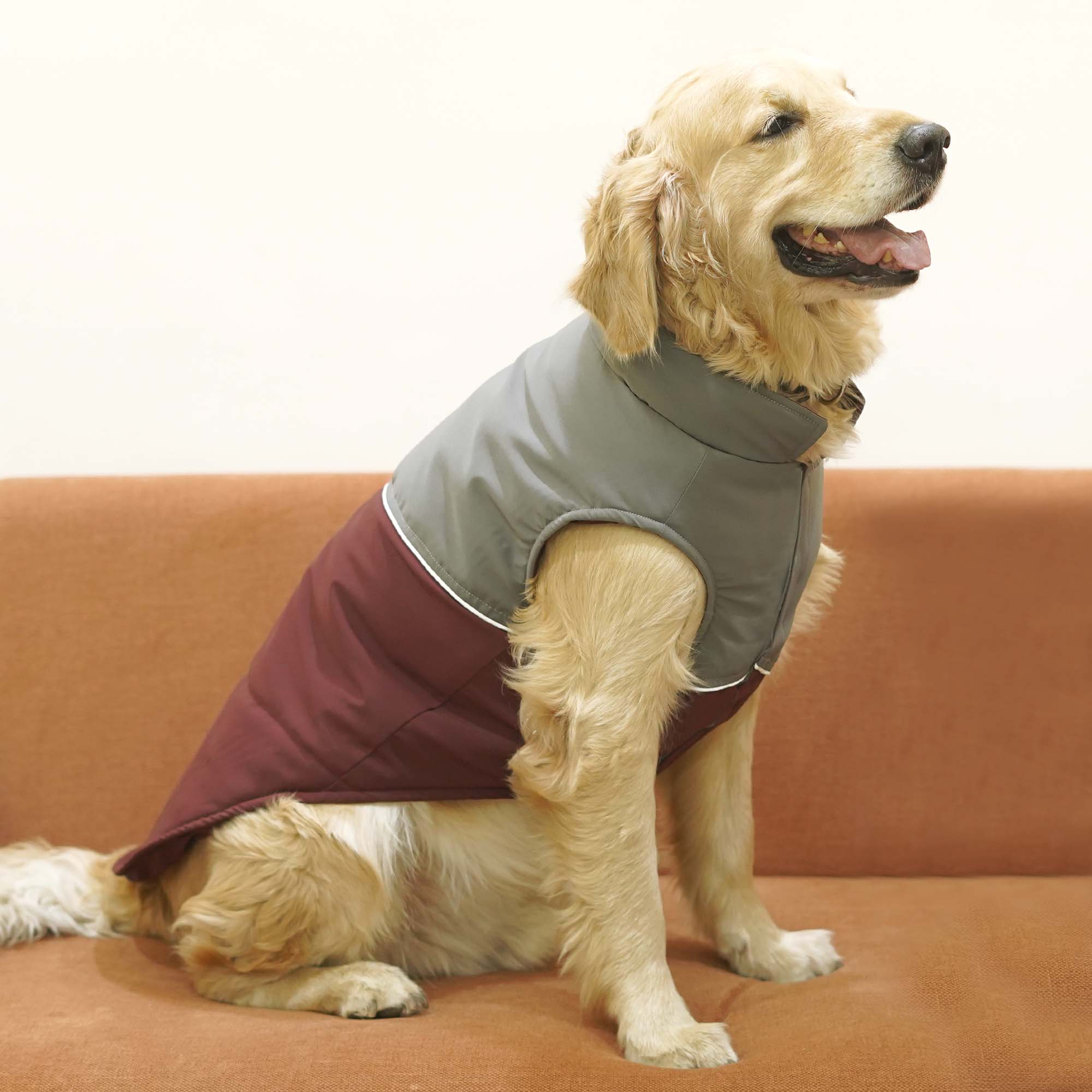 Frost- Wine Dog Jacket