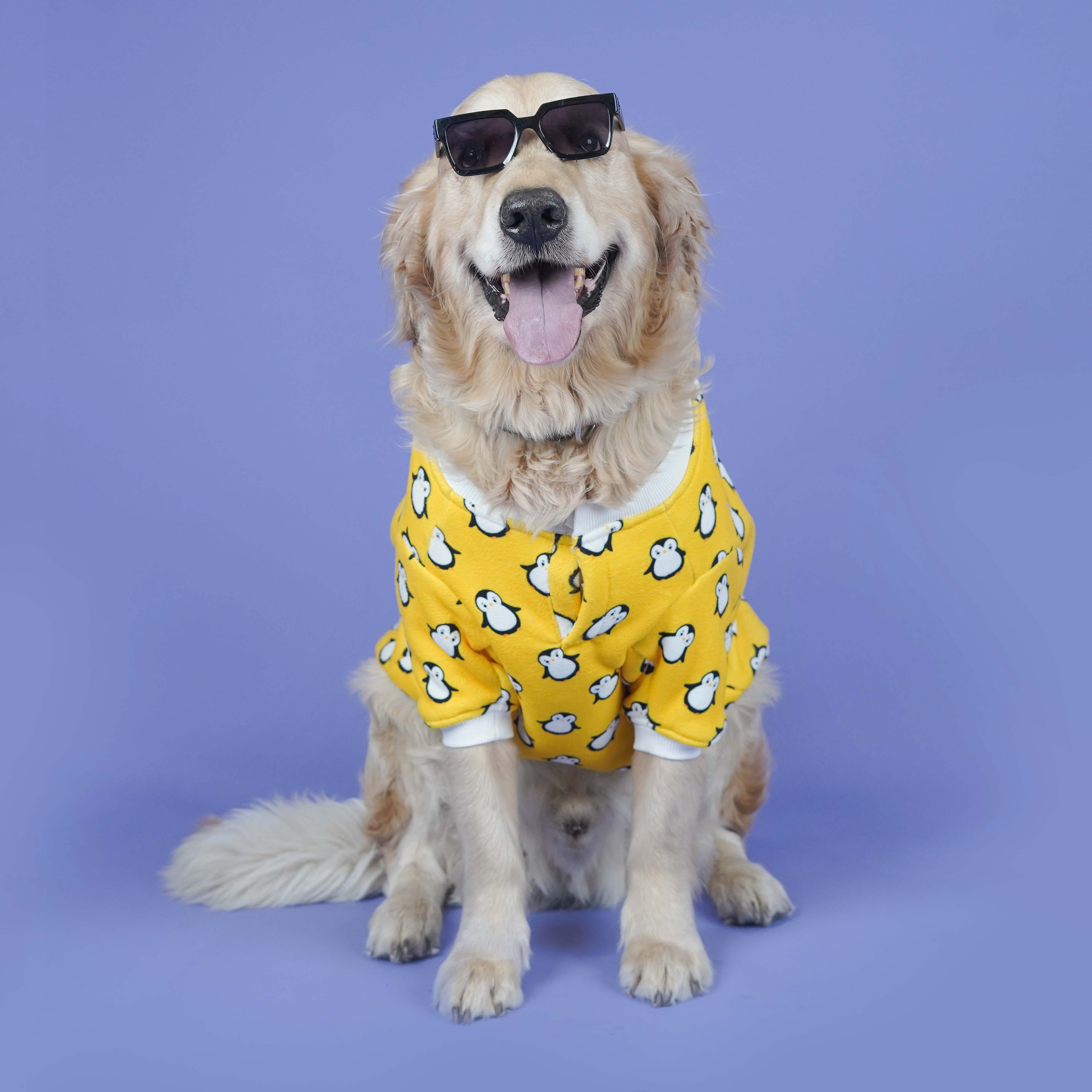 Pingu Dog Sweatshirt