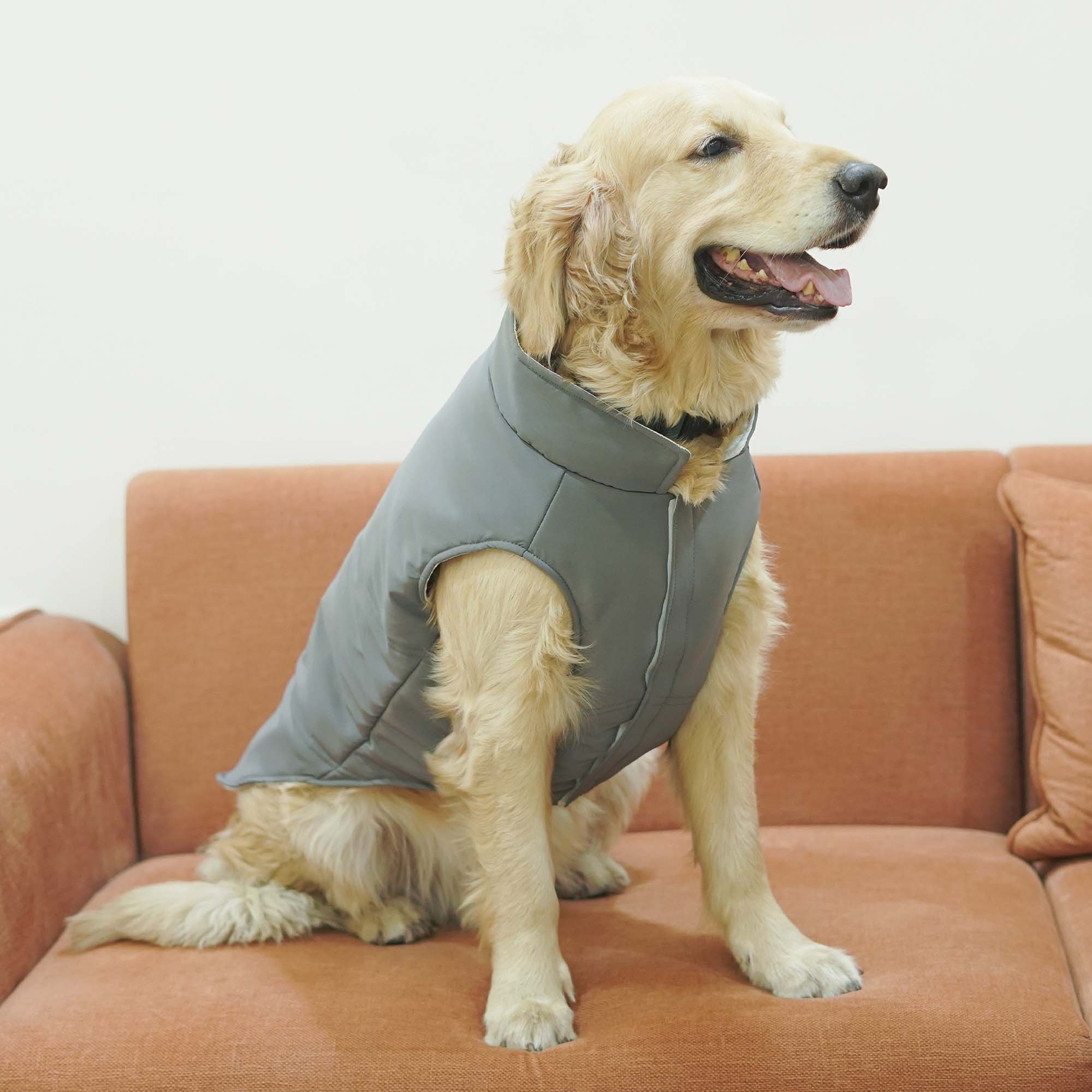 Frost- Grey Dog Jacket