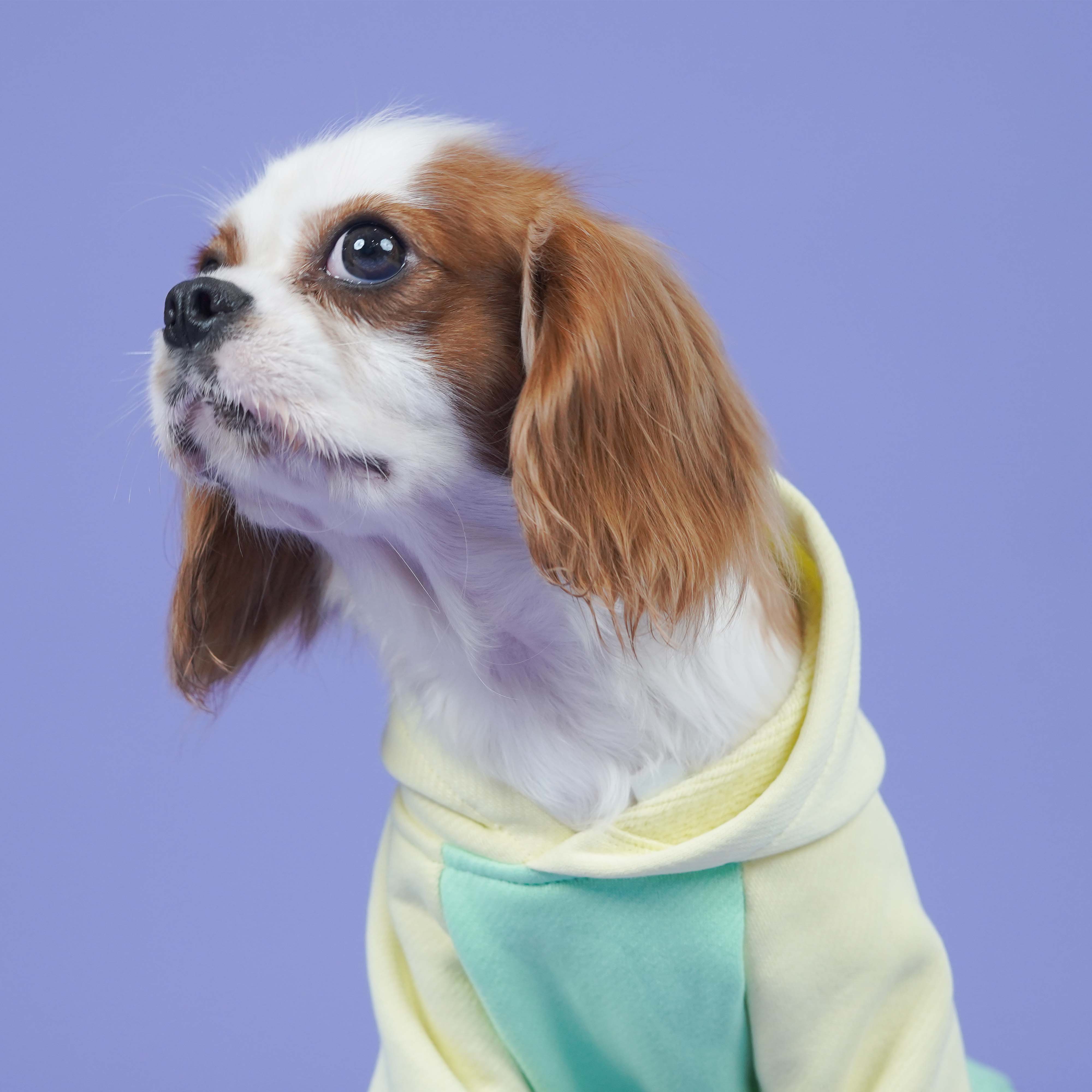 Icy Peak SweatShirt -Mint