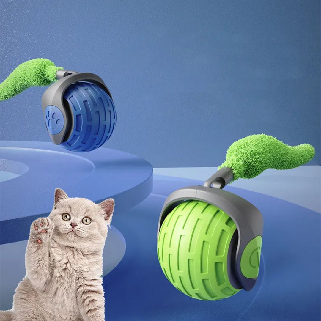 rolling ball with cat