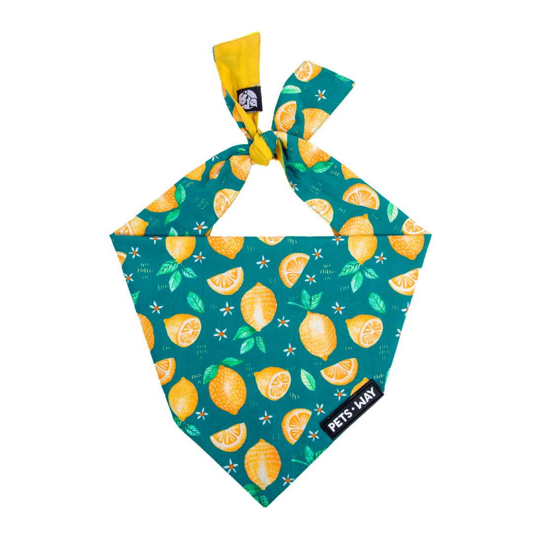 Autumn Emerald Bandana-petsway