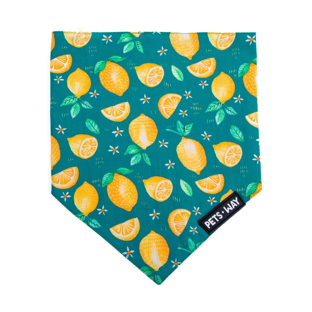 front of Autumn Emerald Bandana-petsway