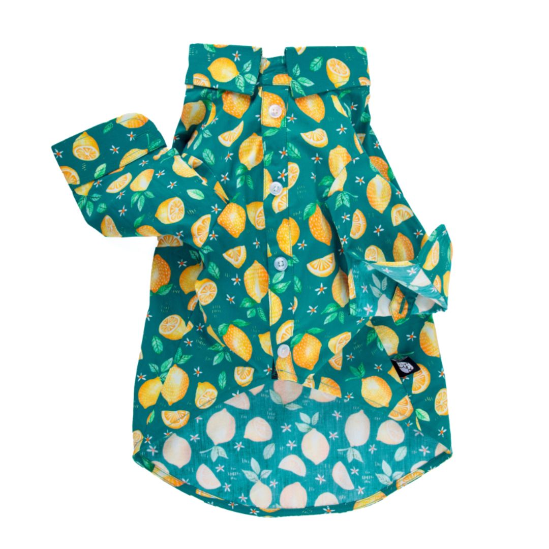 front of Autumn Dog Shirt-petsway