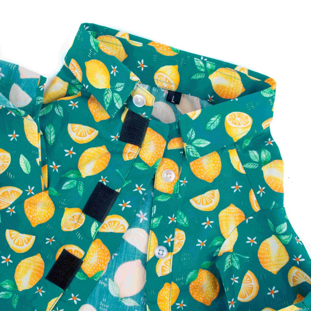 color of Autumn Dog Shirt-petsway