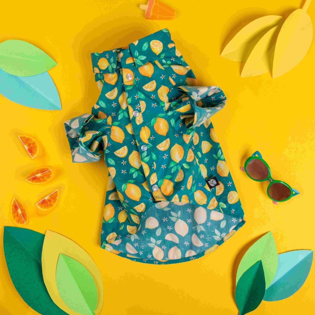 Autumn Dog Shirt-petsway