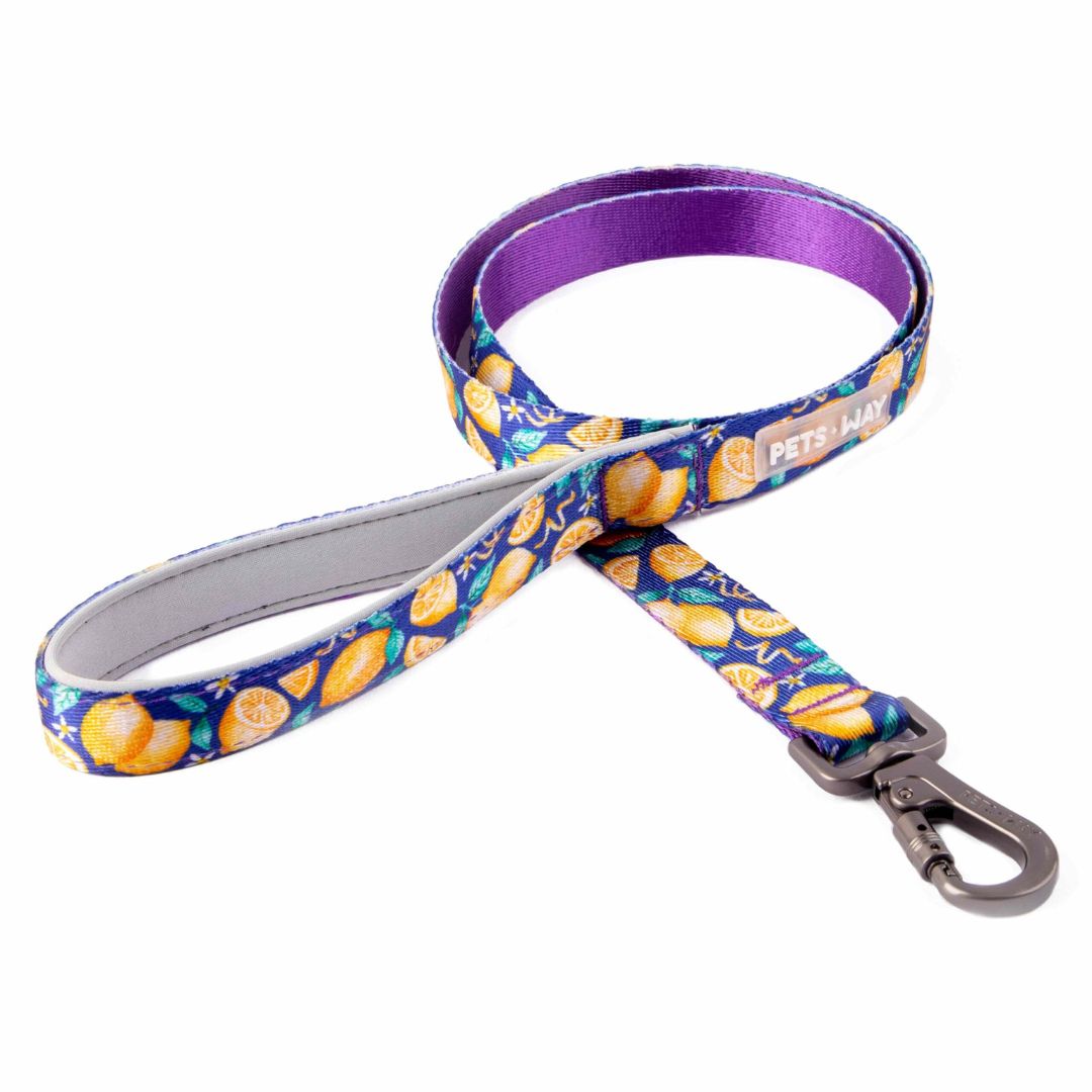 Autumn dog Leash-petsway