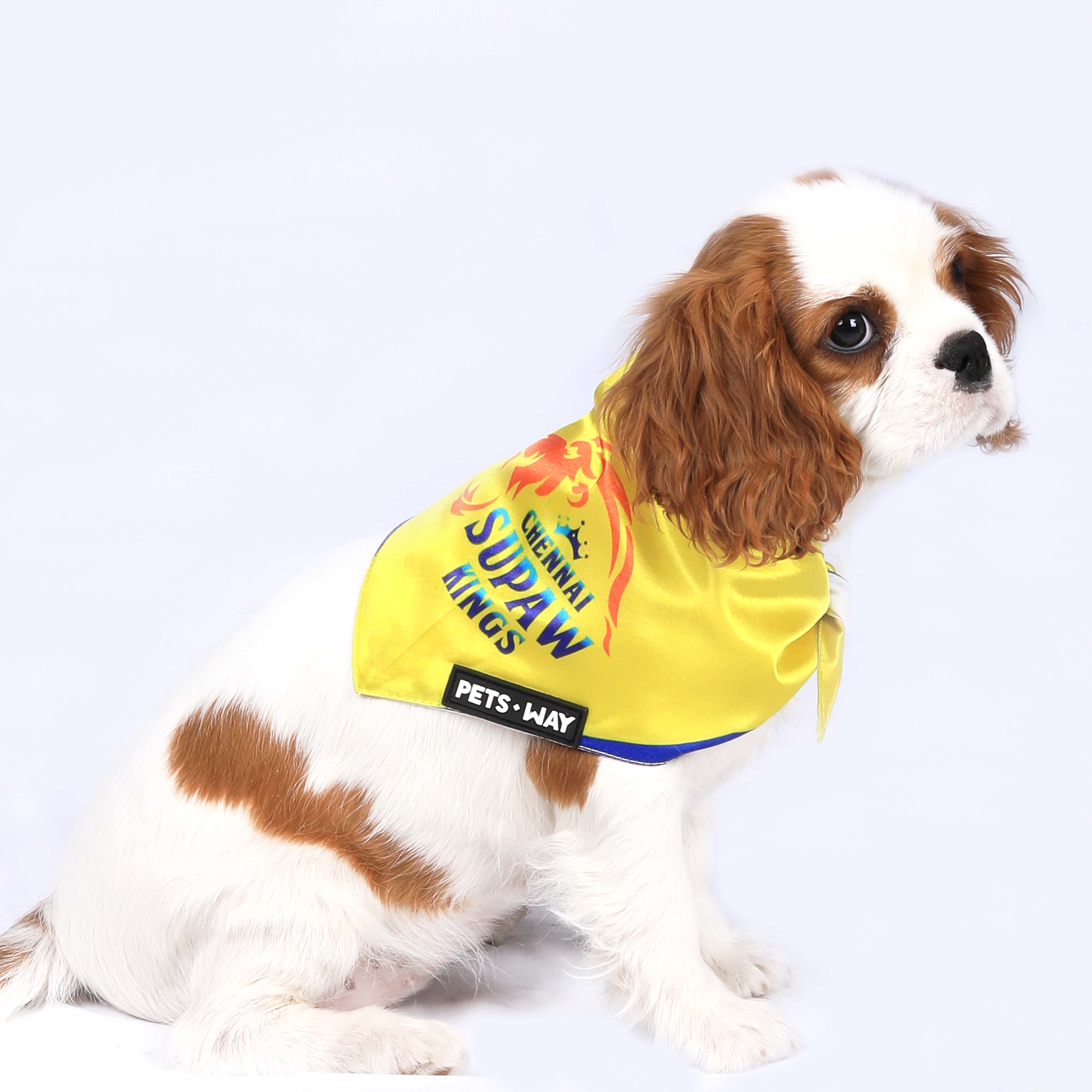 Chennai Super Kings Bandanas