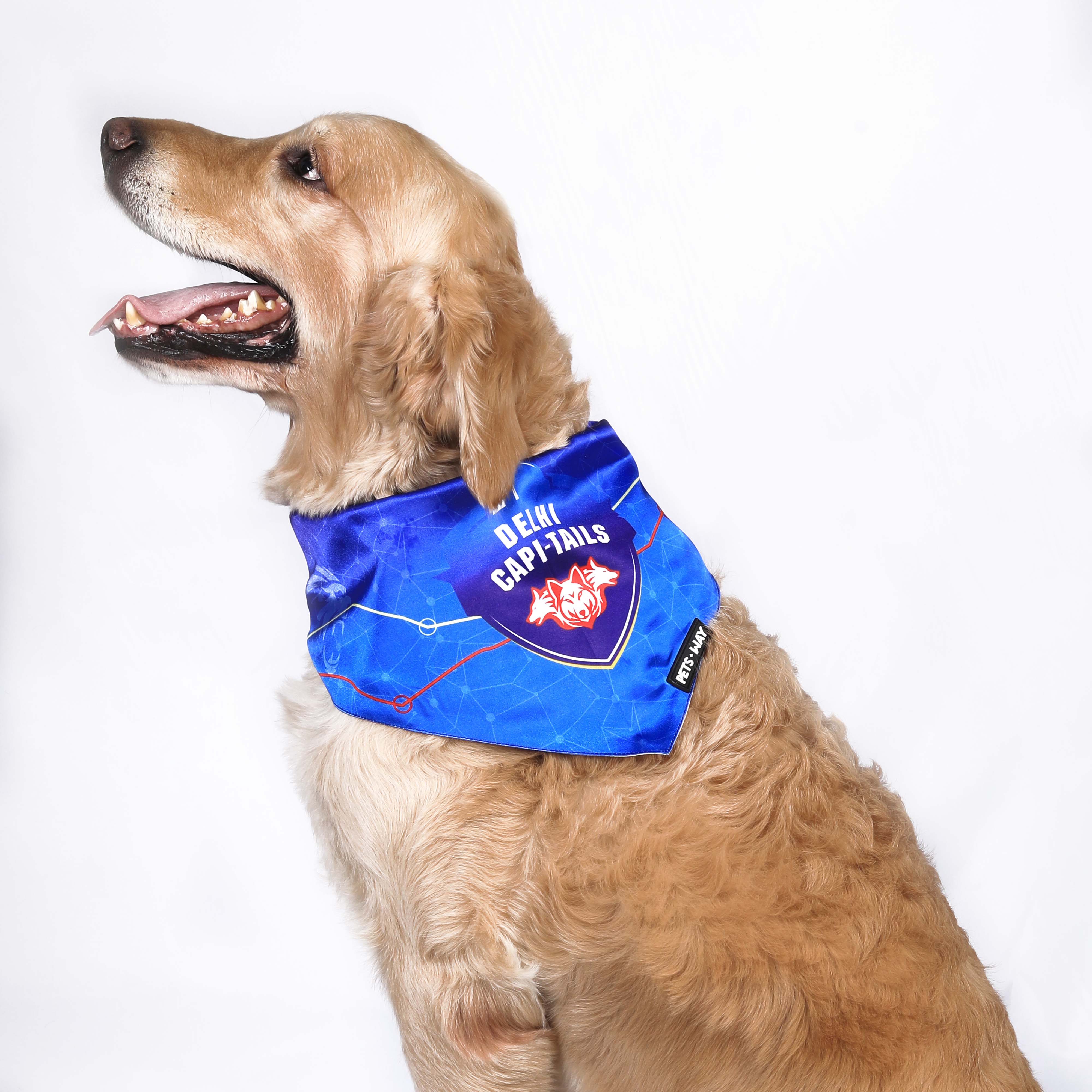 Delhi cricket bandana