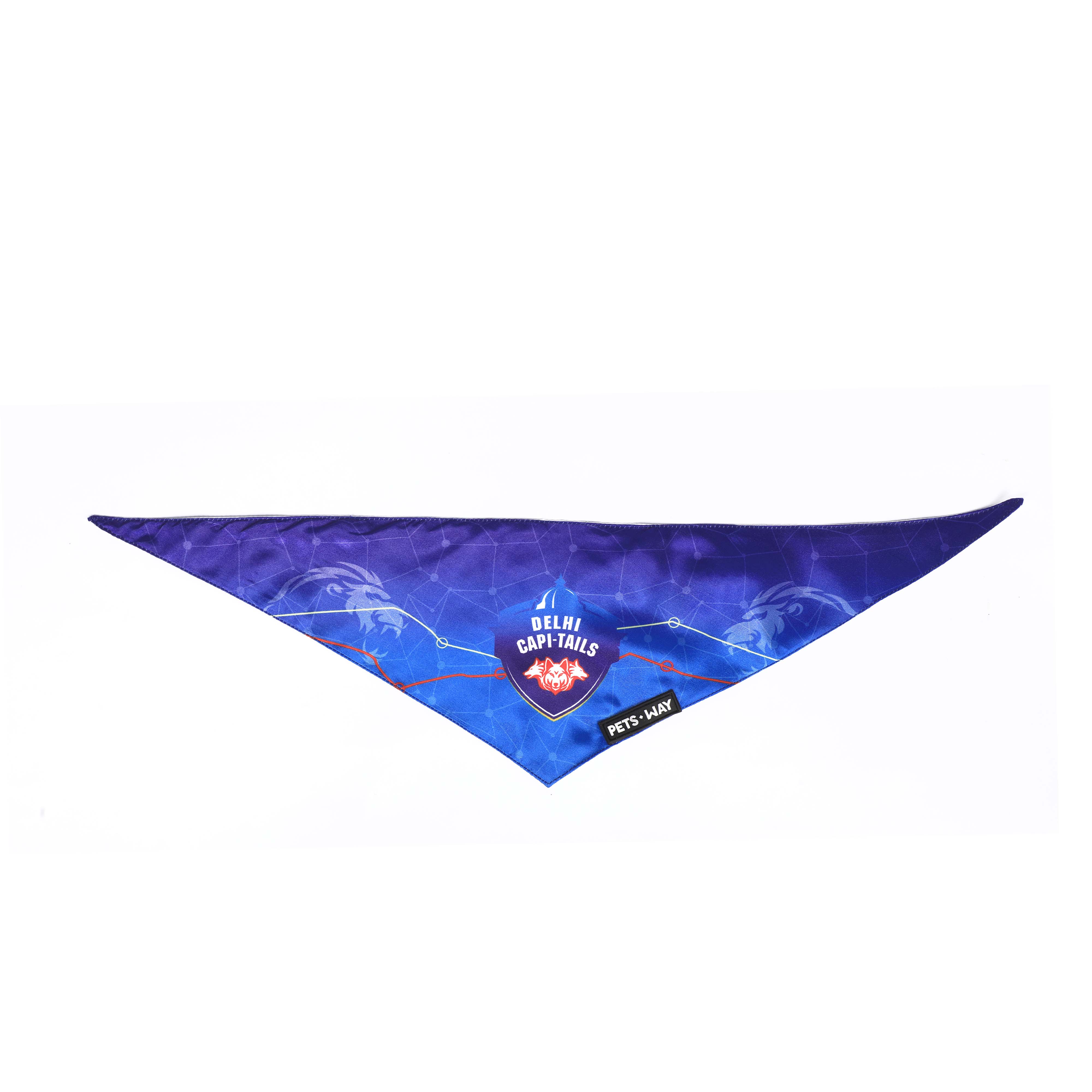 Delhi team scarf
