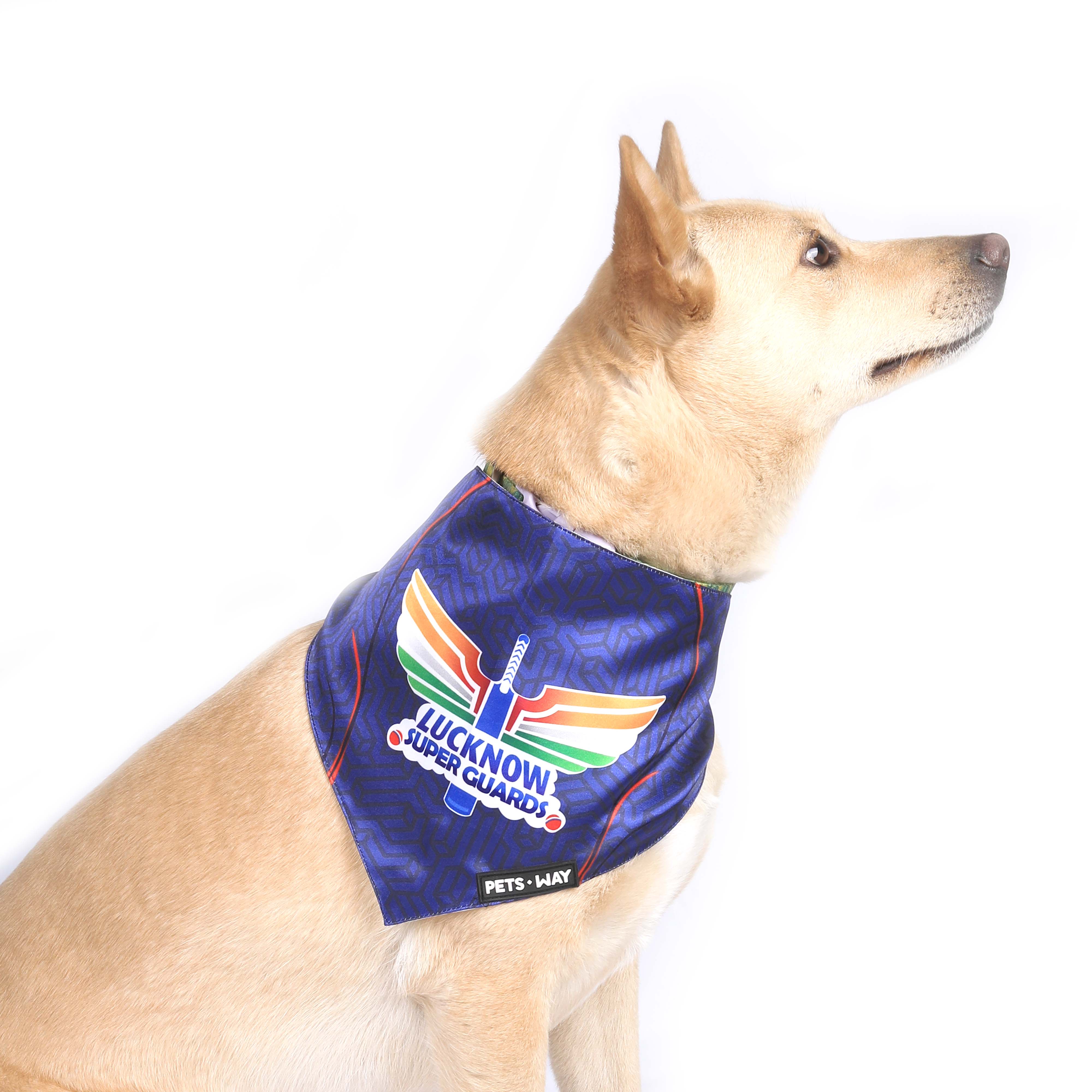 Lucknow Super Giants pet accessory