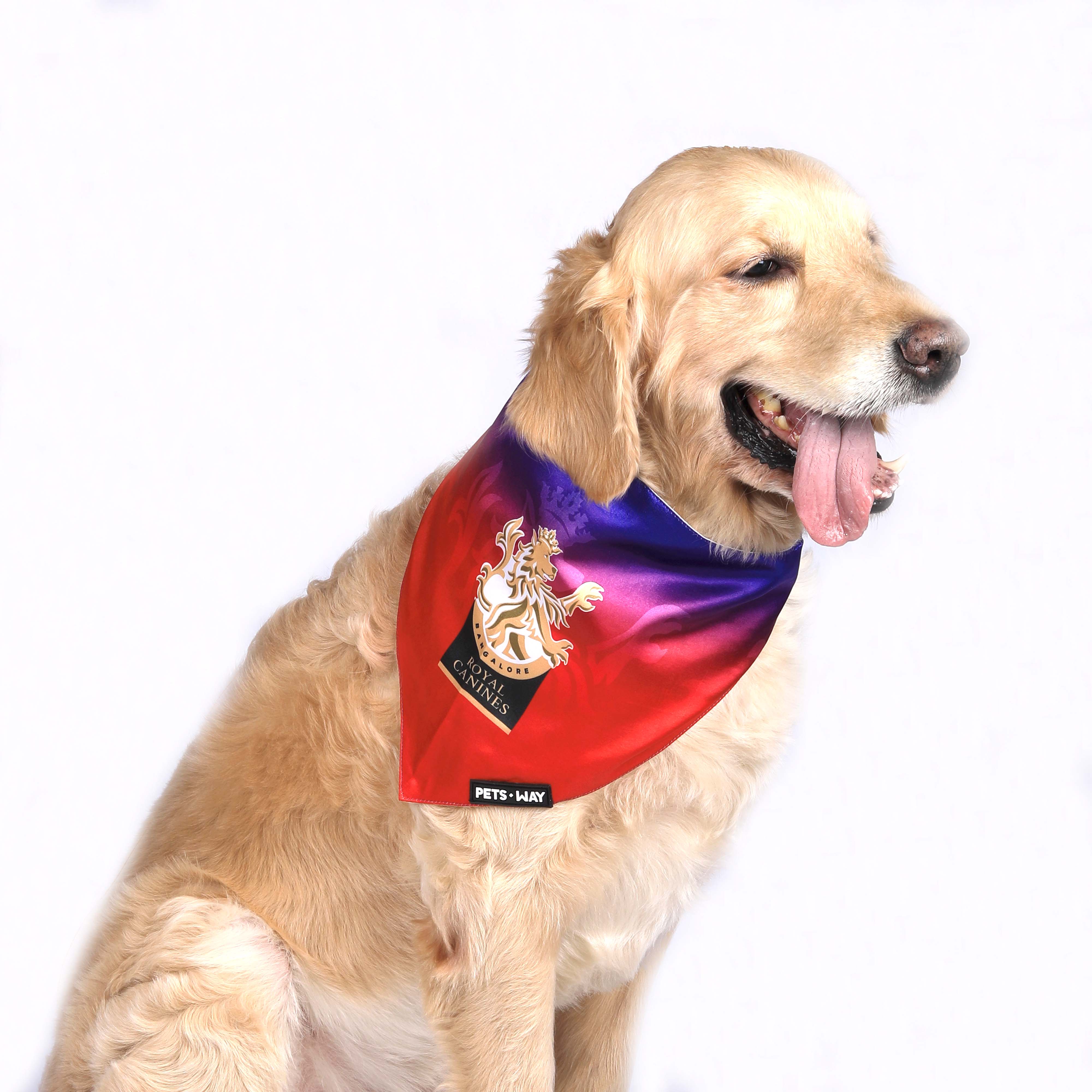 Royal Challengers Bengaluru Dog Bandana