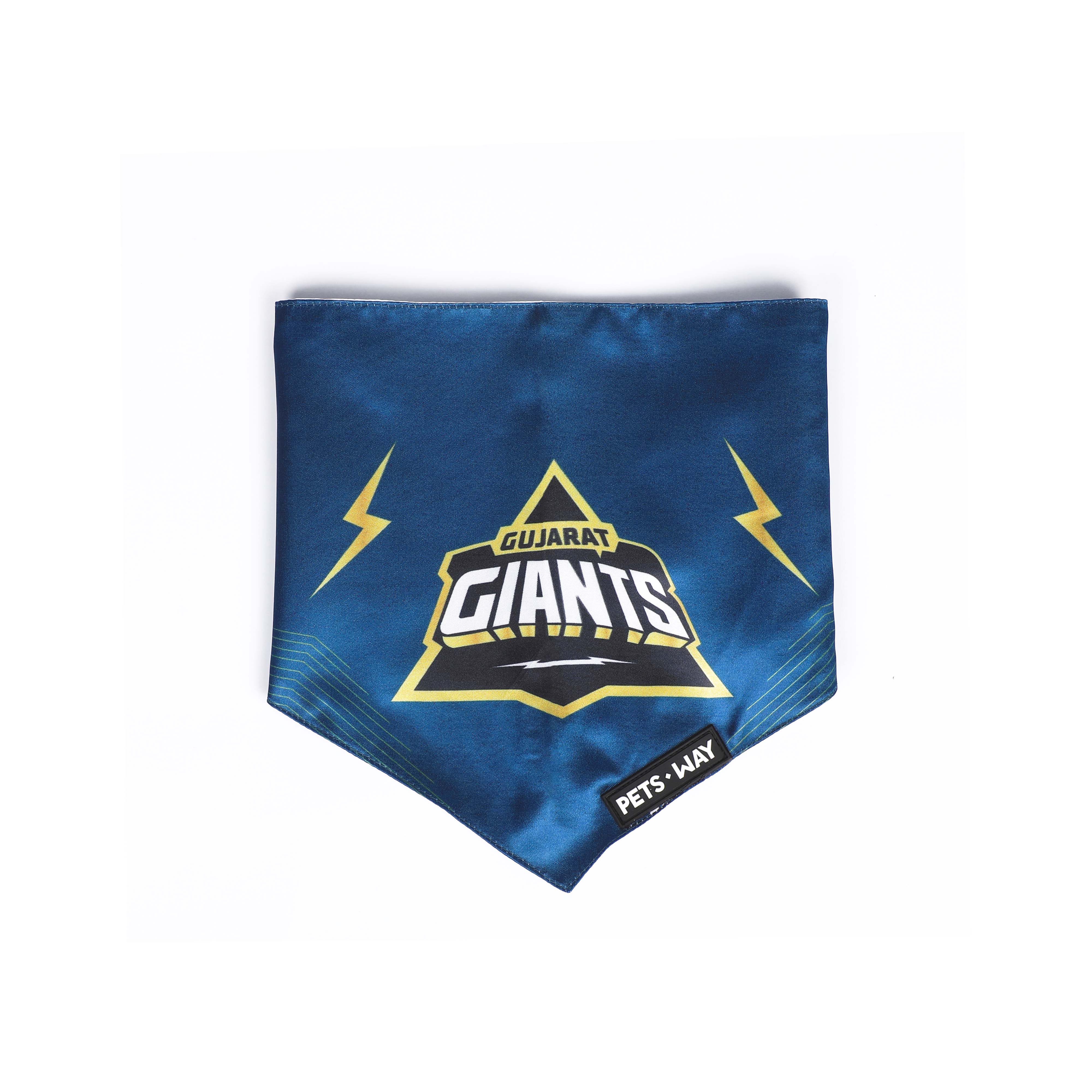 Gujarat IPL Bandanas