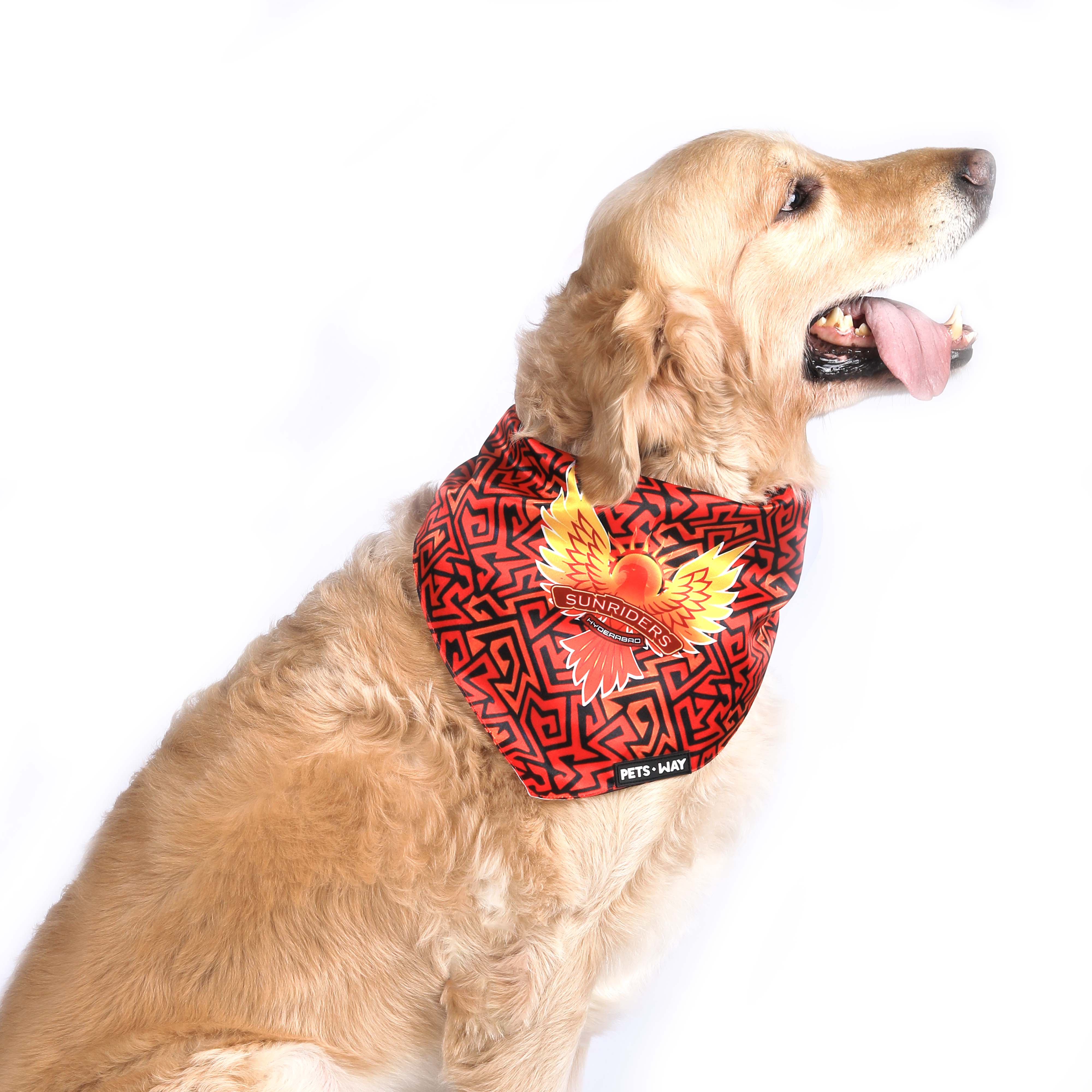 Sunrisers Pet Bandana