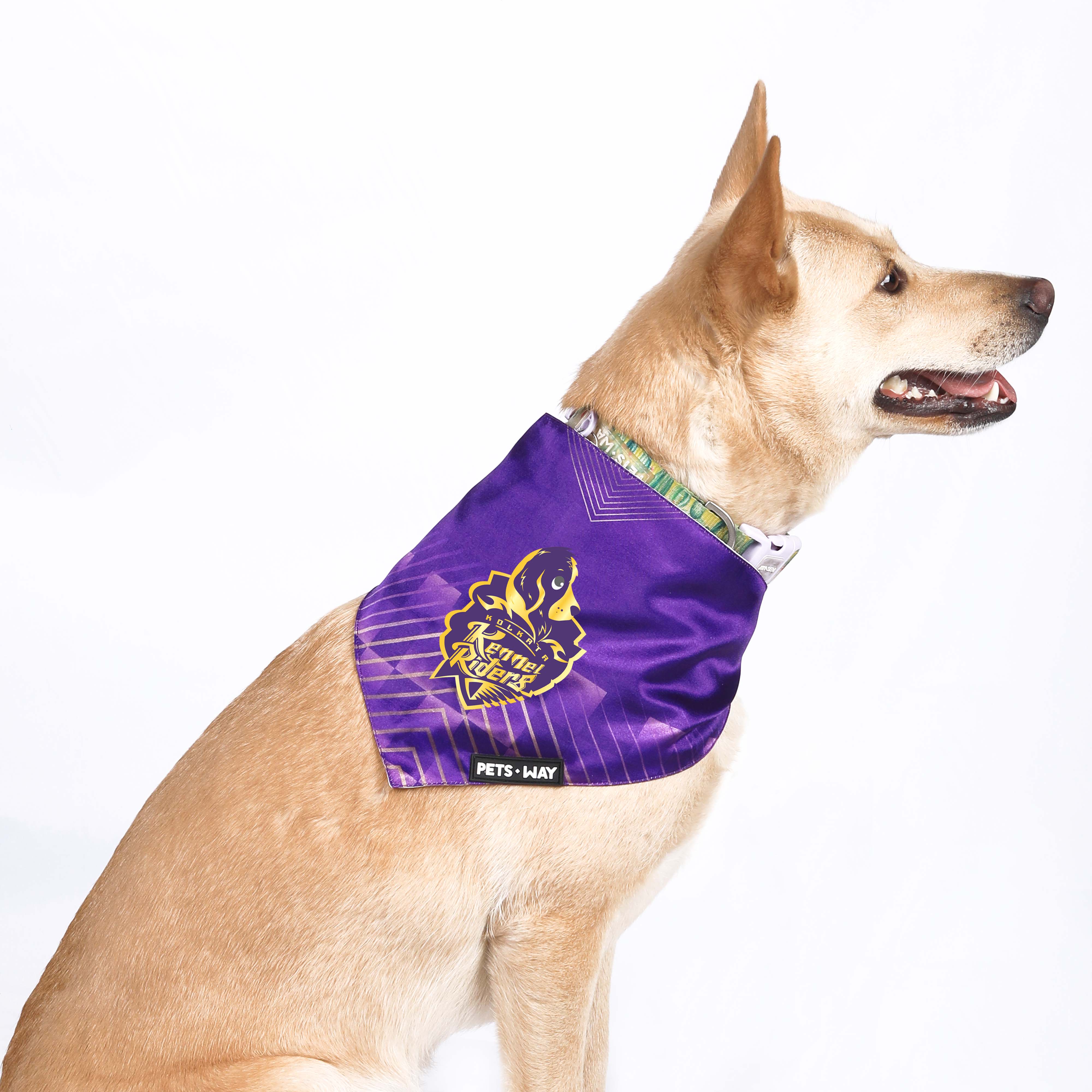 Kolkata Kennei Riders Bandana