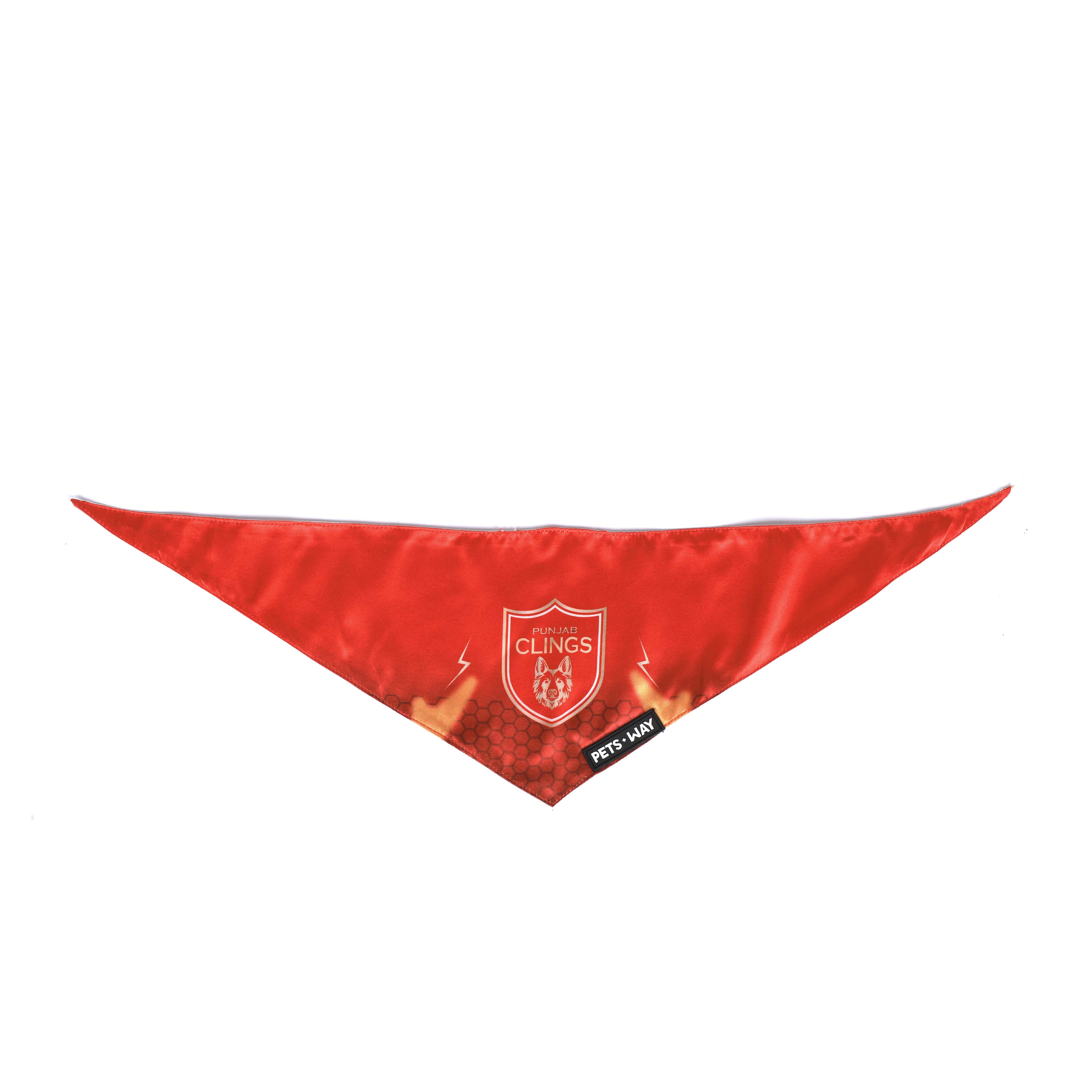PBK Pet Scarf