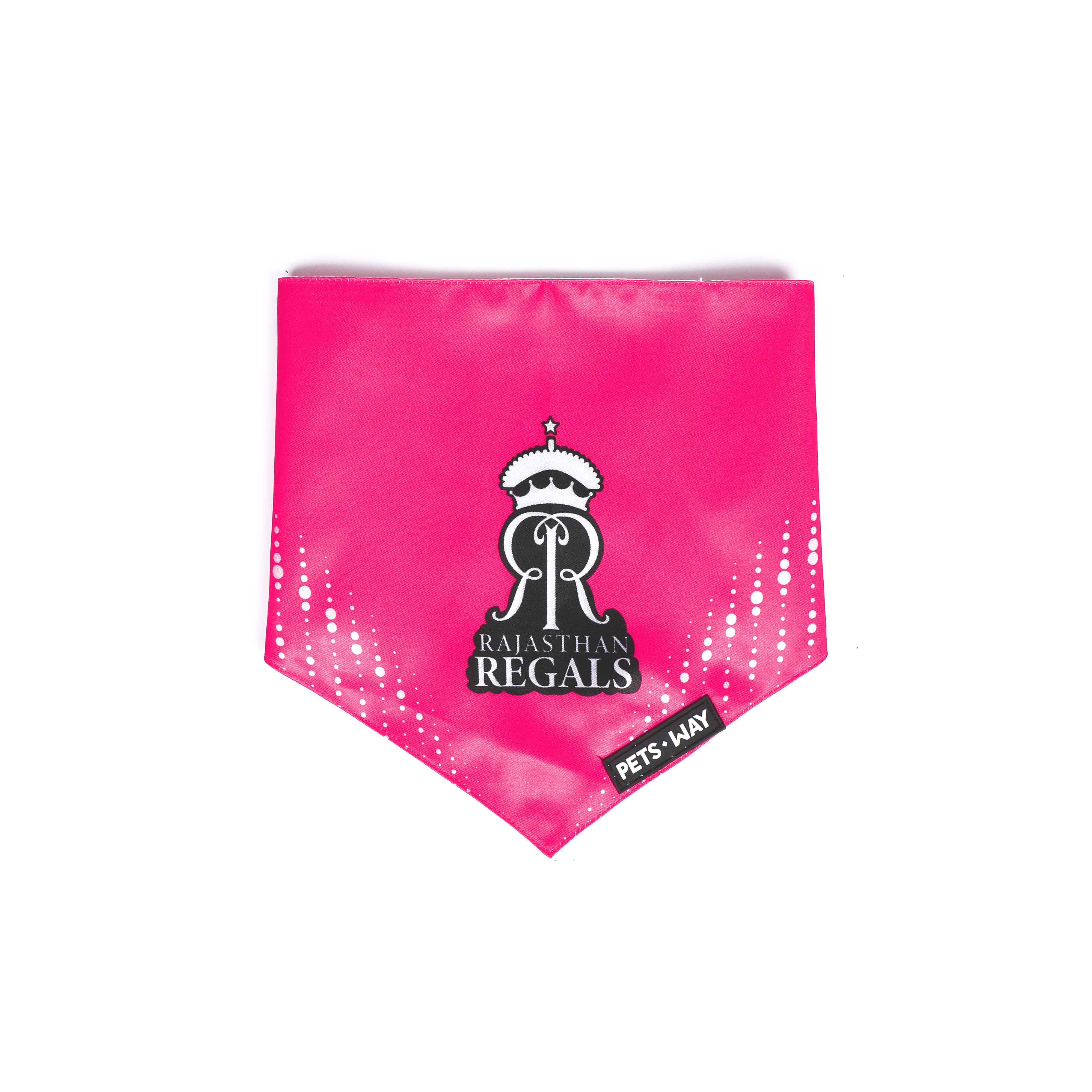 RR IPL Dog Bandana