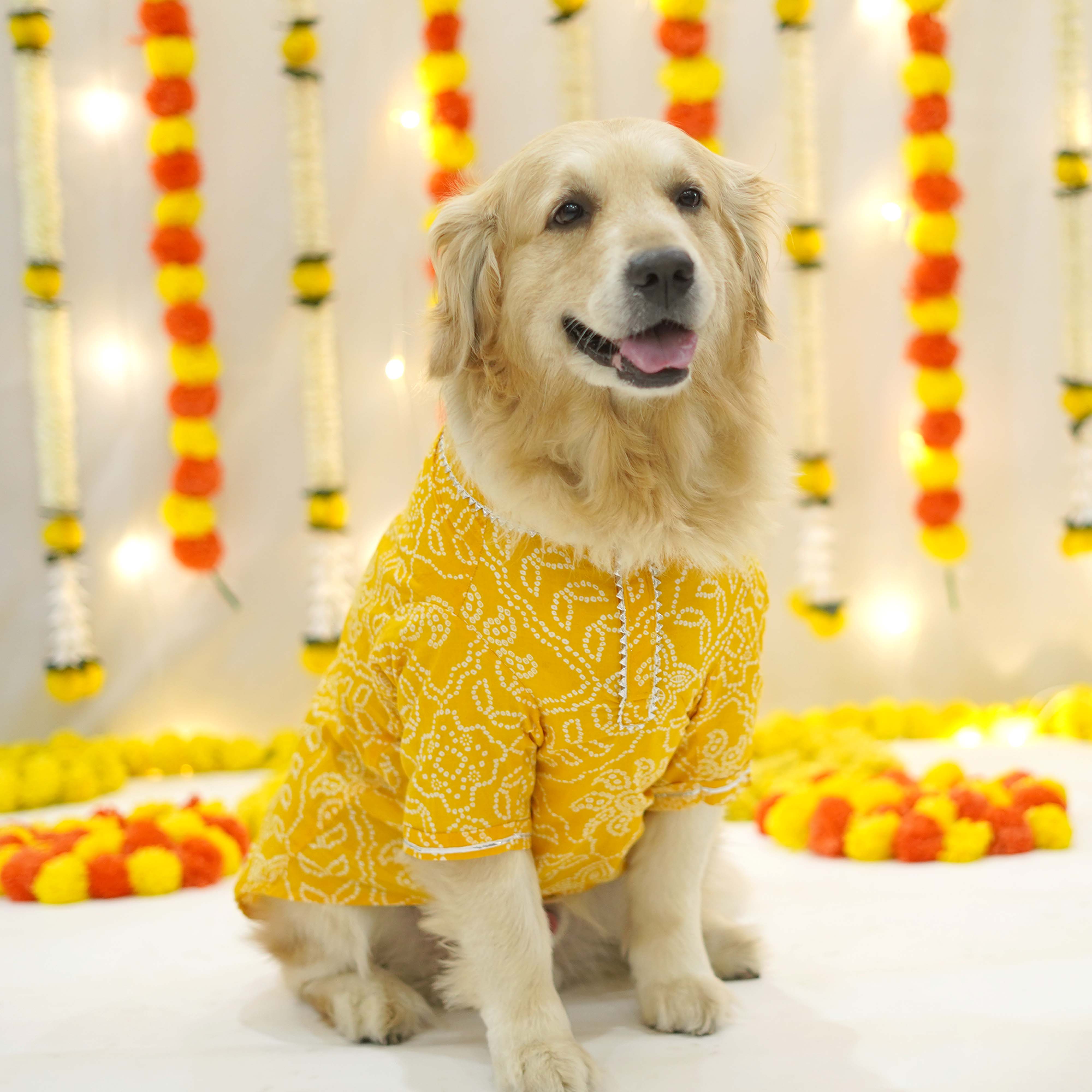 Bandhani Ikat - Dog Kurta Combo