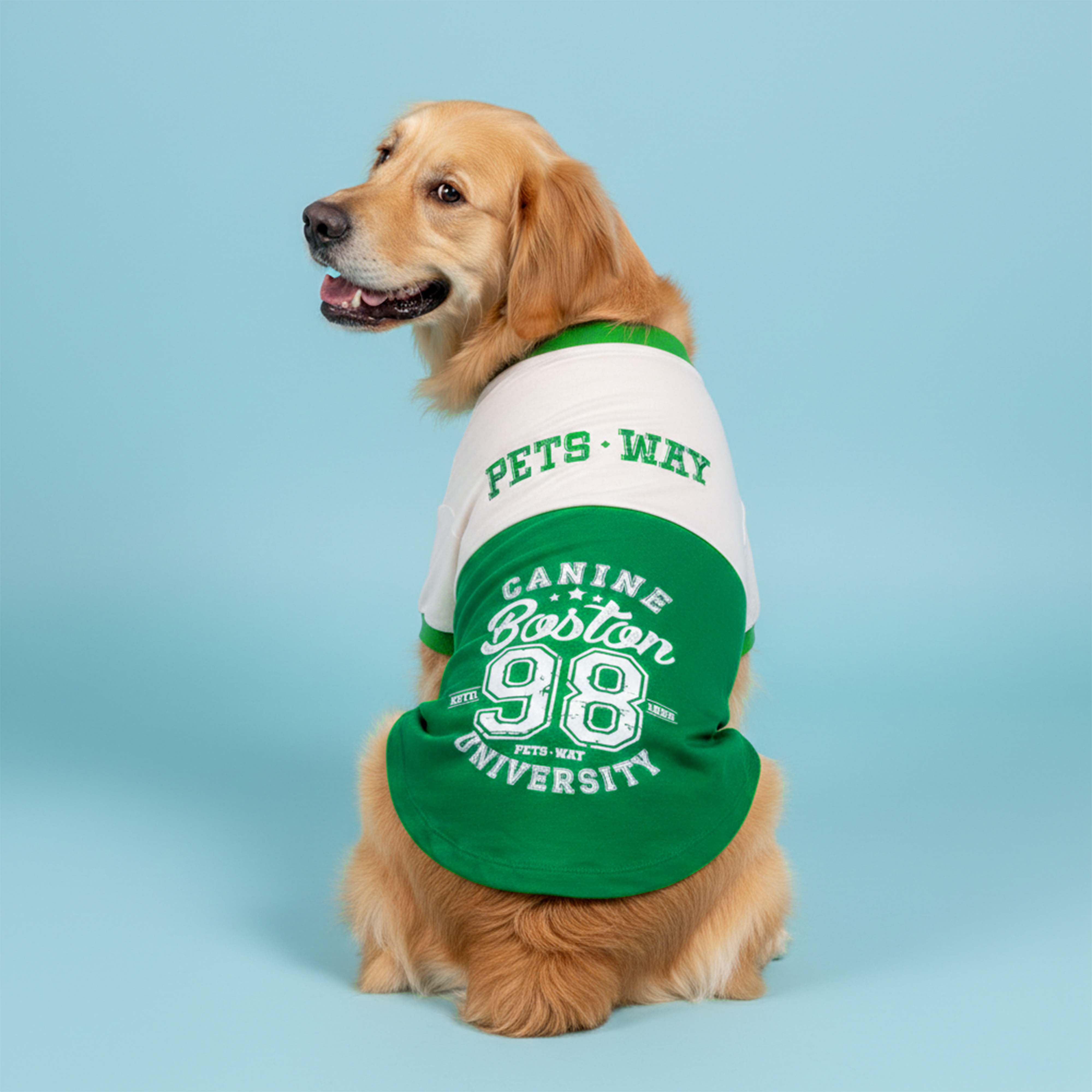 Barkball - Boston Dog TShirt