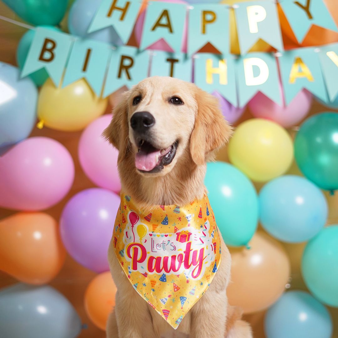 dog wear  Birthday Dog Bandana - Lemon-petsway