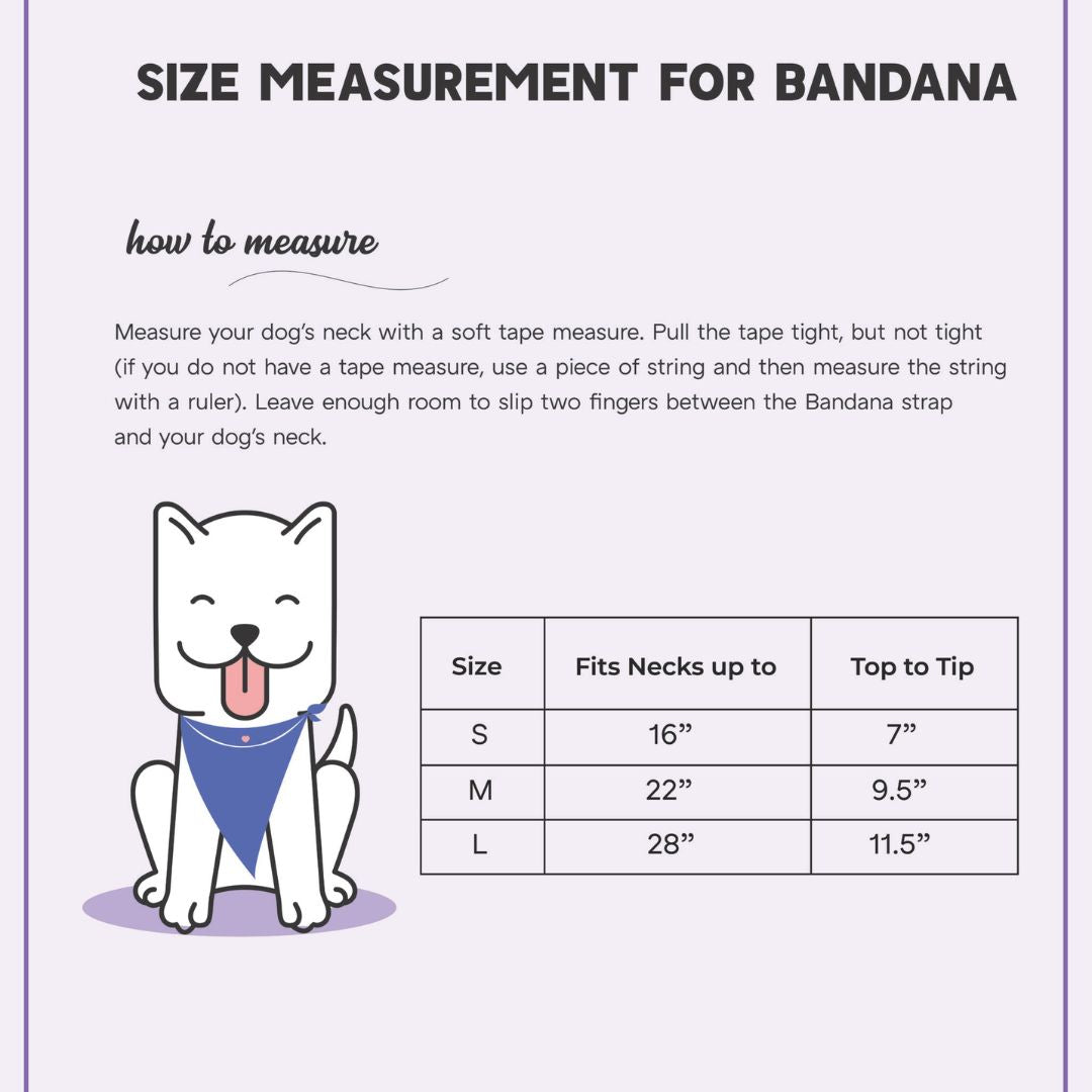 size chart for Birthday Dog Bandana—Teal