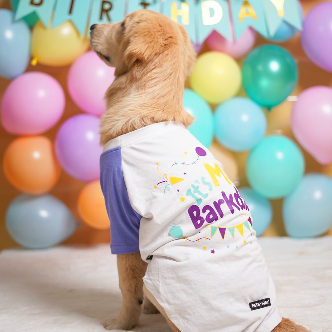 dog wear Birthday Dog T-Shirt Lavender-petsway