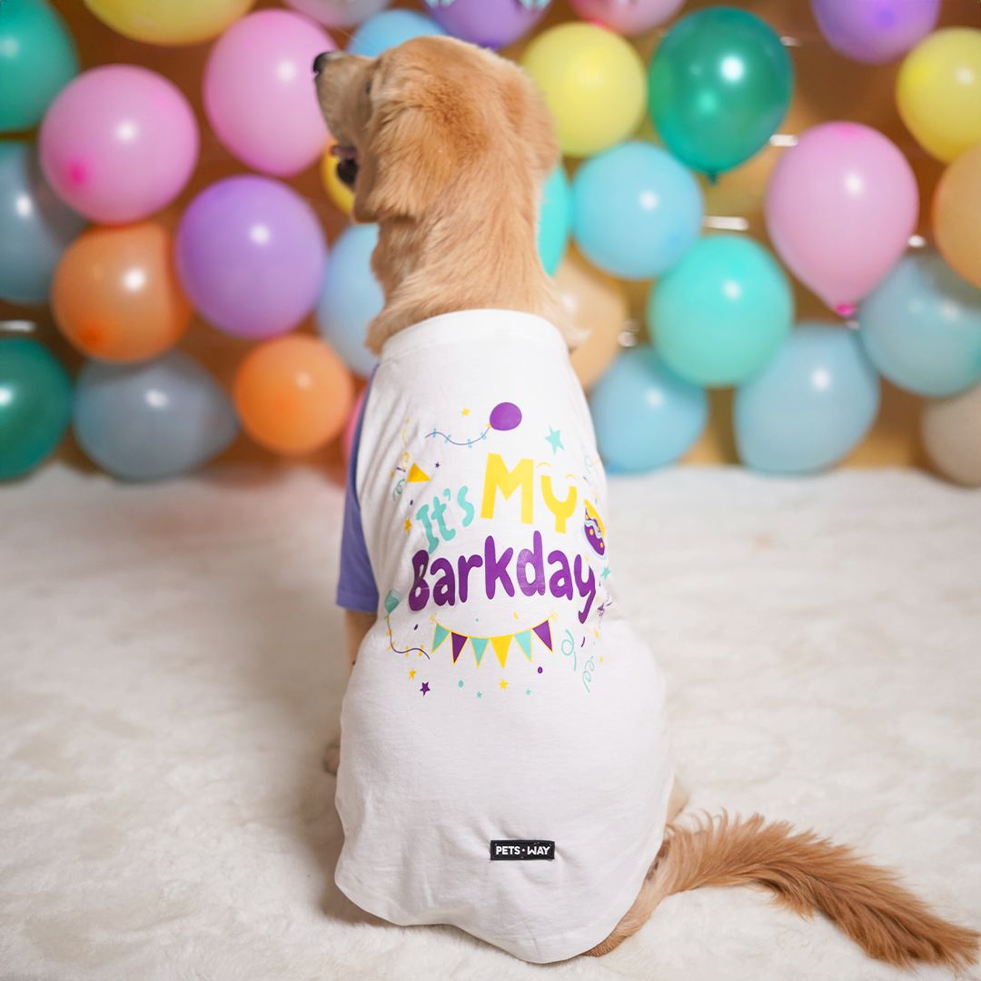 Dogwear Birthday Dog T-Shirt Lavender-petsway